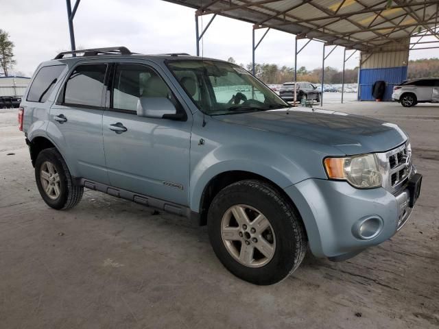 2008 Ford Escape HEV