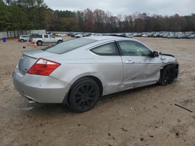 2009 Honda Accord EXL