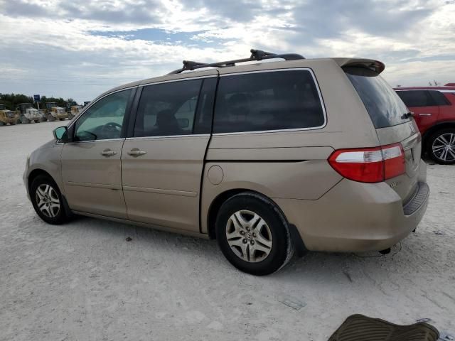 2006 Honda Odyssey EXL