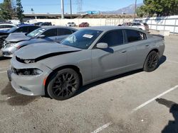 Dodge salvage cars for sale: 2019 Dodge Charger SXT