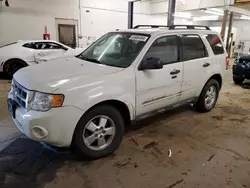 2010 Ford Escape XLT en venta en Ham Lake, MN