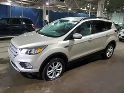 Salvage cars for sale at Woodhaven, MI auction: 2018 Ford Escape SE