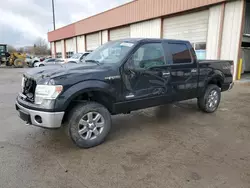 Ford salvage cars for sale: 2014 Ford F150 Supercrew