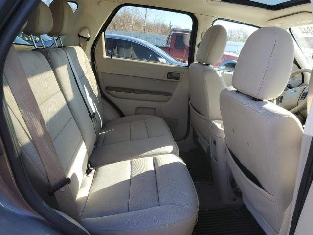 2010 Ford Escape XLT