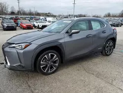 2021 Lexus UX 250H en venta en Lawrenceburg, KY