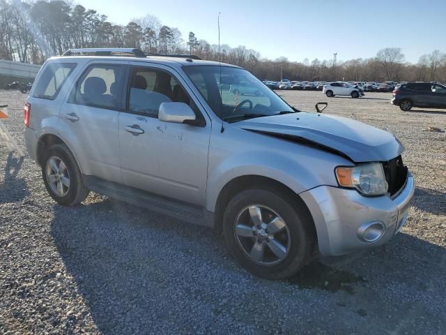 2011 Ford Escape Limited