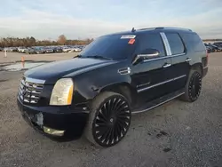 Cadillac Vehiculos salvage en venta: 2007 Cadillac Escalade Luxury