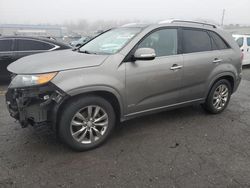 Salvage cars for sale at Pennsburg, PA auction: 2013 KIA Sorento SX