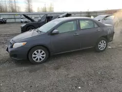 Salvage cars for sale from Copart Arlington, WA: 2010 Toyota Corolla Base