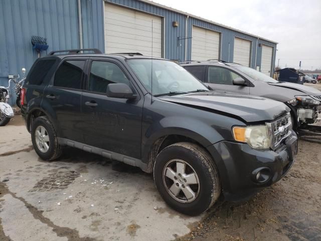 2009 Ford Escape XLT