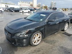 2013 Nissan Maxima S en venta en New Orleans, LA