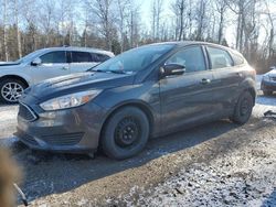 Salvage cars for sale at Cookstown, ON auction: 2015 Ford Focus SE