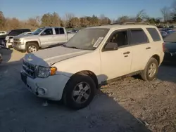 Salvage cars for sale at Madisonville, TN auction: 2012 Ford Escape XLT