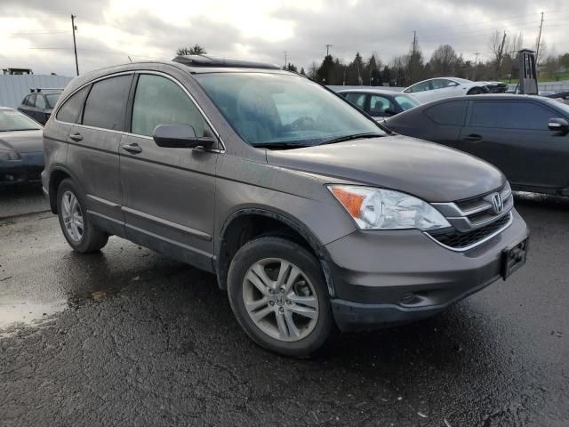 2010 Honda CR-V EXL