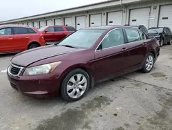 2009 Honda Accord EXL en venta en Louisville, KY