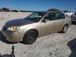 Salvage cars for sale at Temple, TX auction: 2006 Chevrolet Malibu LT