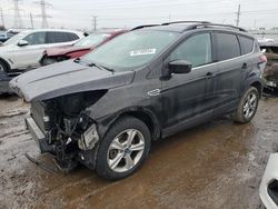 2013 Ford Escape SE en venta en Elgin, IL