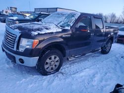 Ford f150 Supercrew salvage cars for sale: 2010 Ford F150 Supercrew