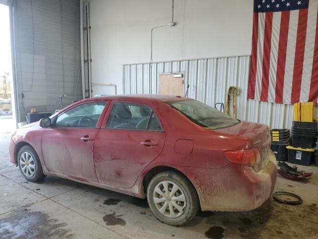 2010 Toyota Corolla Base