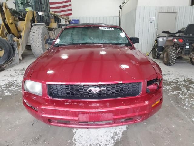 2005 Ford Mustang