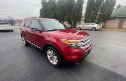 Salvage cars for sale at York Haven, PA auction: 2013 Ford Explorer XLT