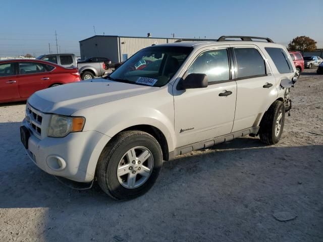 2009 Ford Escape Hybrid