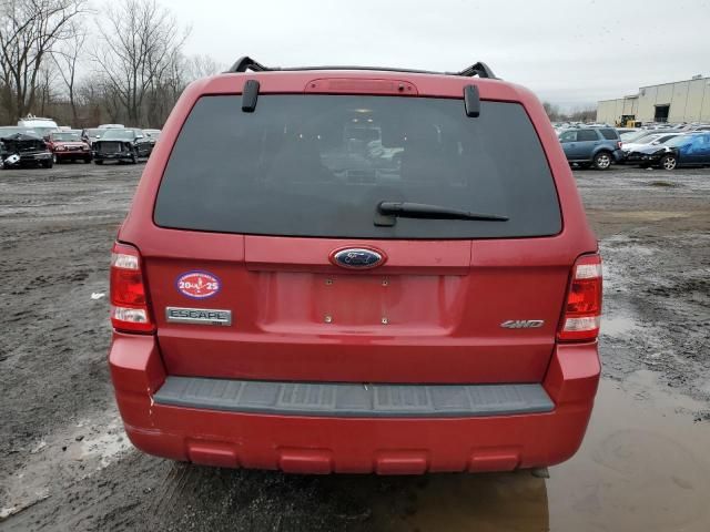 2009 Ford Escape XLT