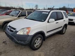 Salvage cars for sale at Bridgeton, MO auction: 2003 Honda CR-V EX