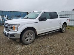 Carros salvage sin ofertas aún a la venta en subasta: 2019 Ford F150 Supercrew