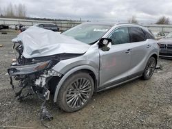 Lexus salvage cars for sale: 2024 Lexus RX 350H Base