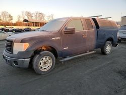 Salvage cars for sale at Spartanburg, SC auction: 2013 Ford F150 Super Cab