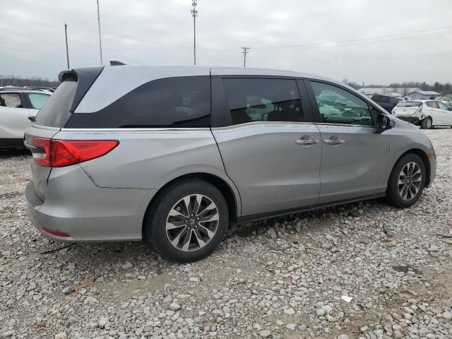 2023 Honda Odyssey EXL