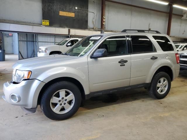 2009 Ford Escape XLT