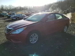 Salvage cars for sale at Baltimore, MD auction: 2013 Hyundai Sonata GLS