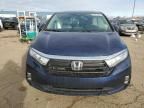 2022 Honda Odyssey EXL