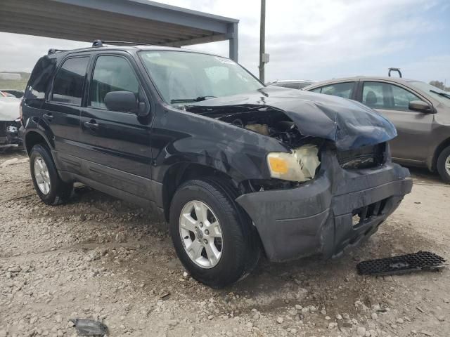 2006 Ford Escape XLT