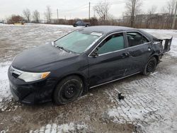 Salvage cars for sale at Montreal Est, QC auction: 2013 Toyota Camry L