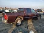 2005 Dodge Dakota Quad SLT