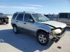 2006 Ford Escape XLT