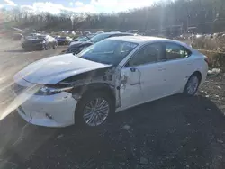 Salvage cars for sale at Baltimore, MD auction: 2014 Lexus ES 350