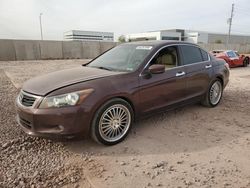 2010 Honda Accord EXL en venta en Phoenix, AZ