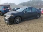 2023 Toyota Camry SE Night Shade