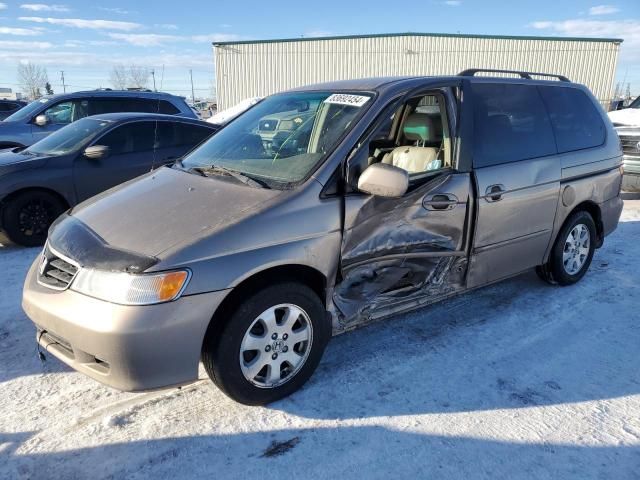 2004 Honda Odyssey EXL