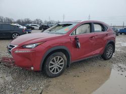 Salvage cars for sale at Columbus, OH auction: 2016 Lexus NX 200T Base