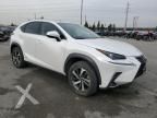 2019 Lexus NX 300H