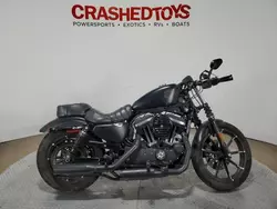 Harley-Davidson xl883 n salvage cars for sale: 2019 Harley-Davidson XL883 N