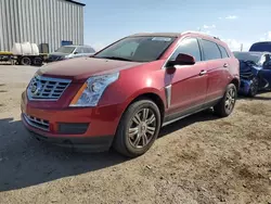 Salvage cars for sale at Tucson, AZ auction: 2013 Cadillac SRX Luxury Collection