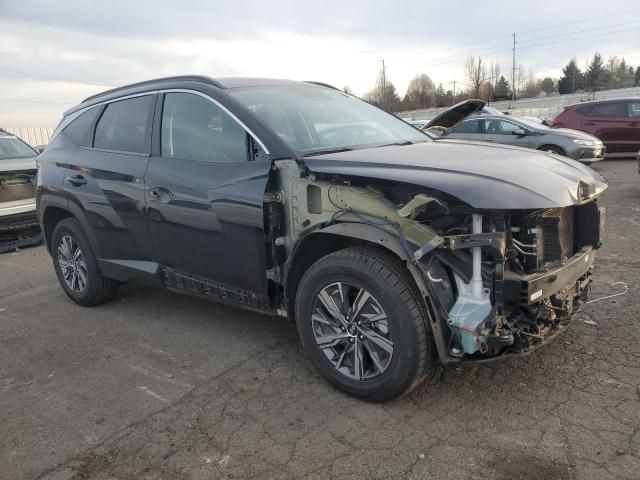 2022 Hyundai Tucson Blue