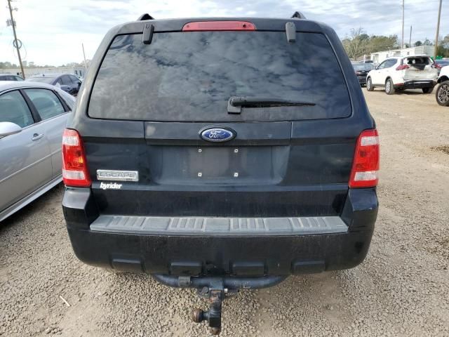 2008 Ford Escape XLT