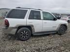 2002 Chevrolet Trailblazer